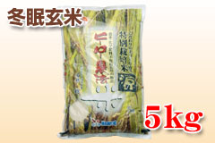 冬眠玄米「源（みなもと）」5kg